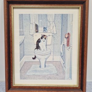 Cat on the Loo Framed Print By Ditz